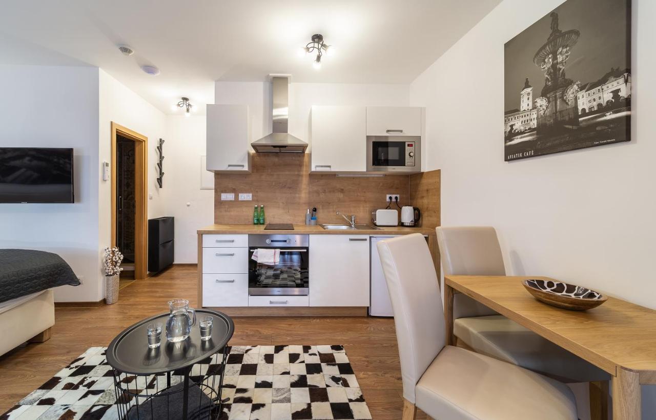 Aviatik Apartament Czeskie Budziejowice